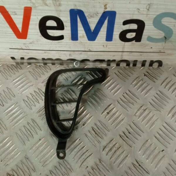 Сетка воздухозаборника