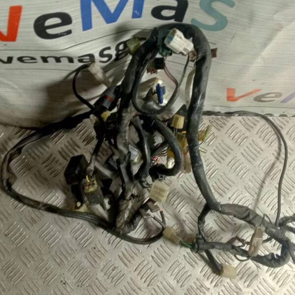 Жгут провод основной